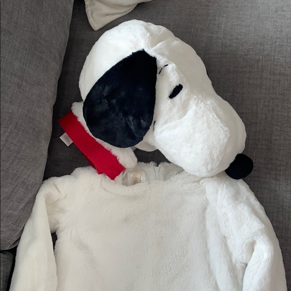 Pottery barn kids peanuts snoopy Halloween costume